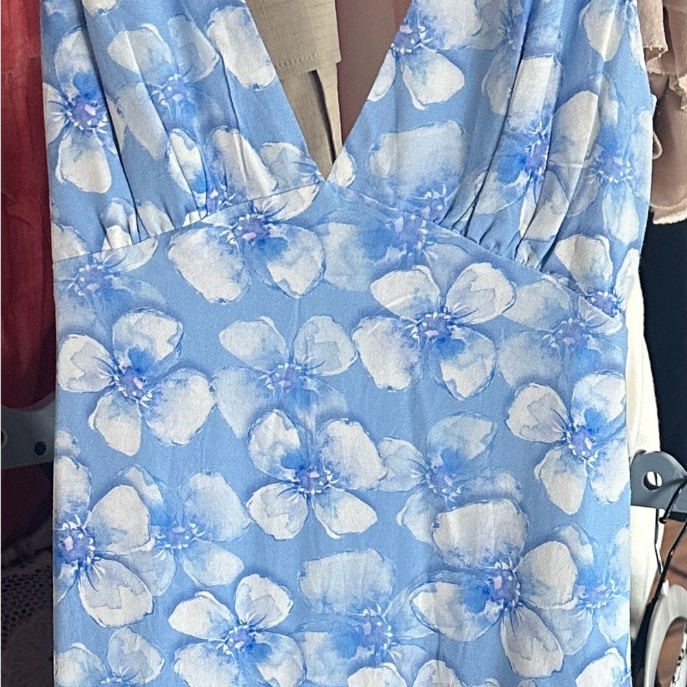 Floral Blue and White Dress